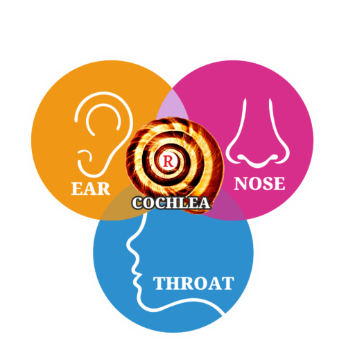 Ear Nose and Throat Hospital in Vijayawada