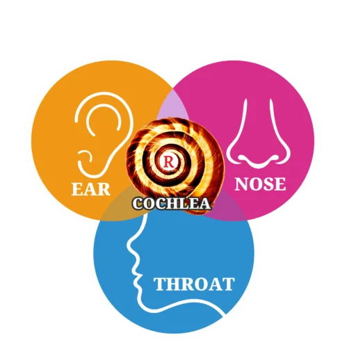 Ear Nose and Throat Hospital in Vijayawada